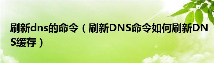 刷新dns命令