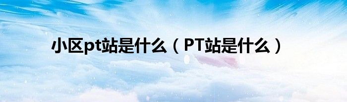 pt站