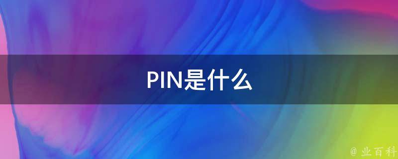 pin是什么意思