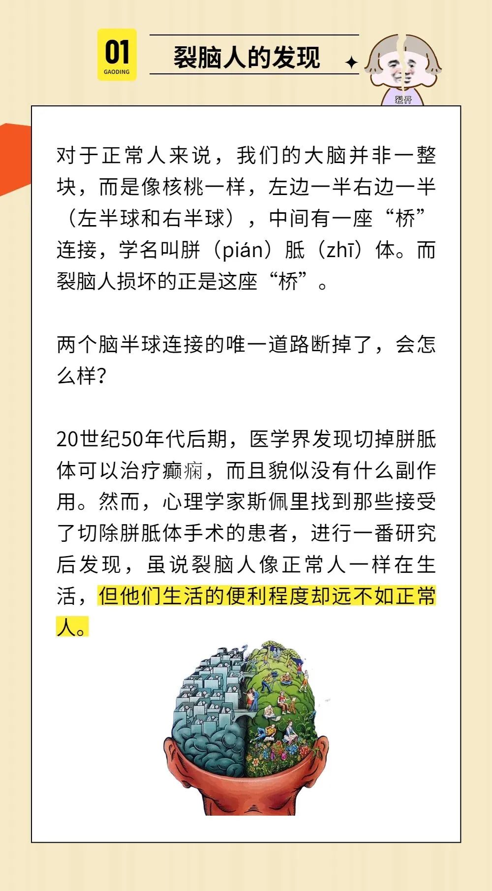 脑裂