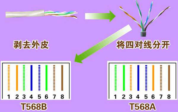 网络电缆是哪一根