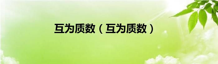 互为质数