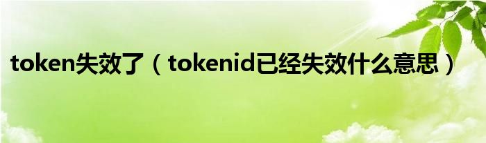 token失效