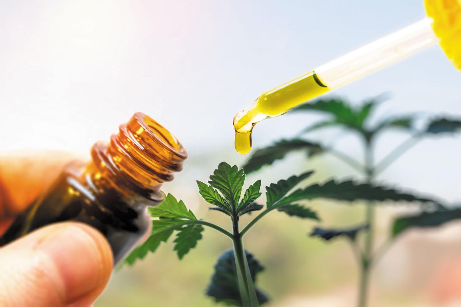 什么是cbd