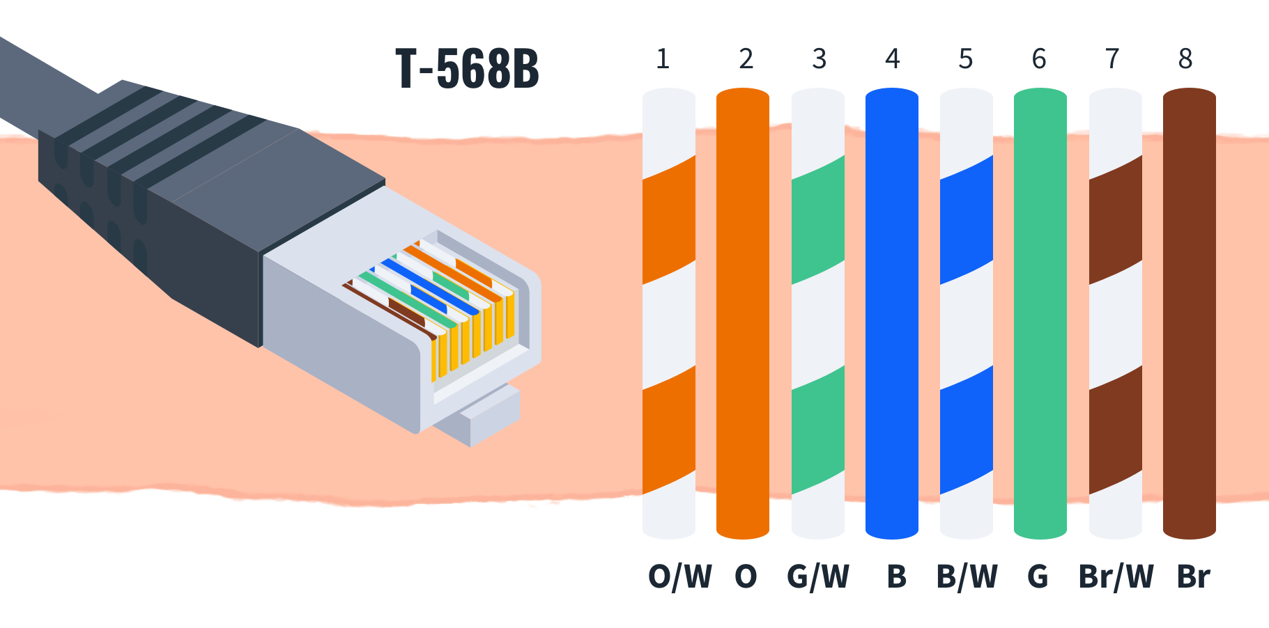 568