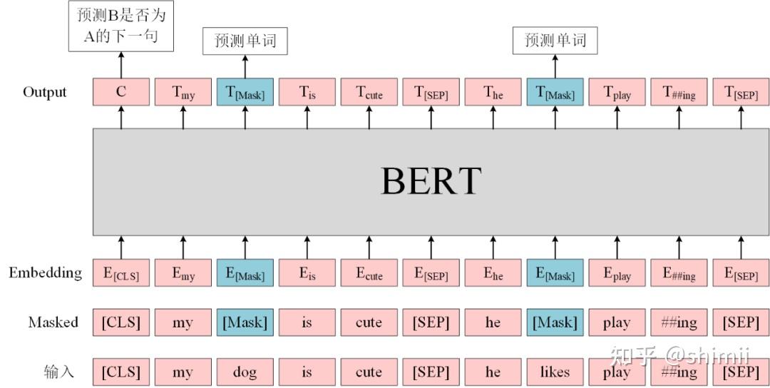 bert模型