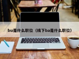 bu是什么职位