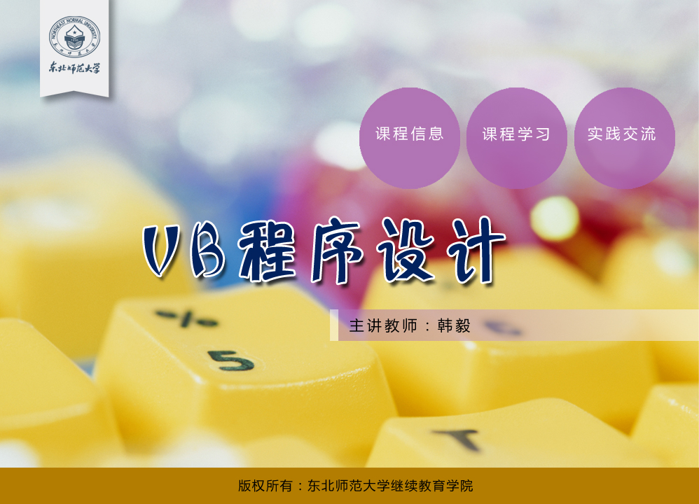 vb程序设计