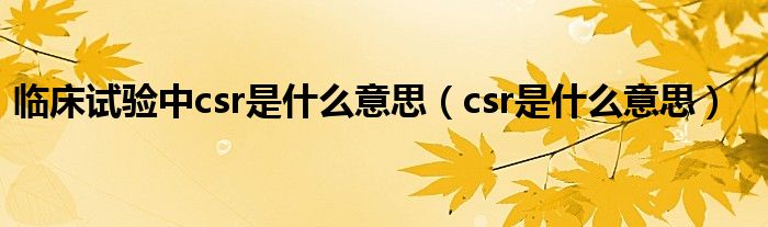 csr是什么意思