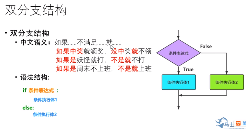 分支结构
