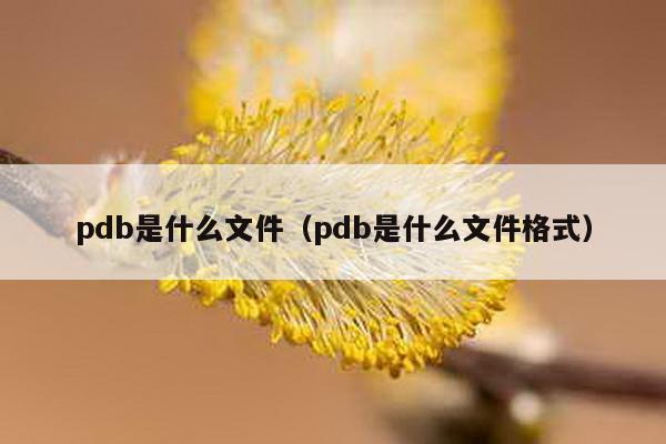 pdb文件是什么