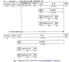 帧格式