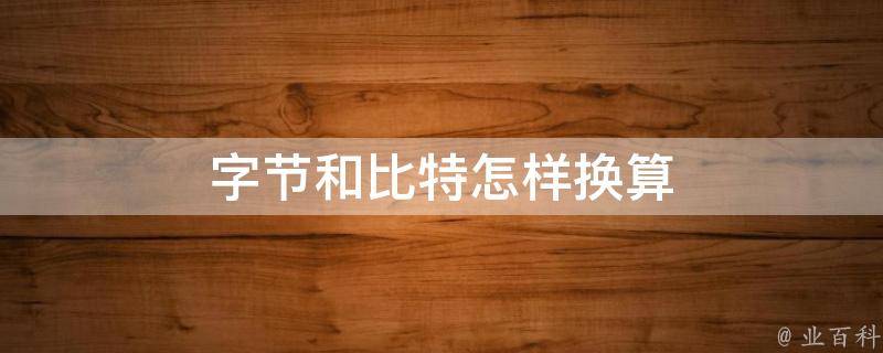 字节和比特
