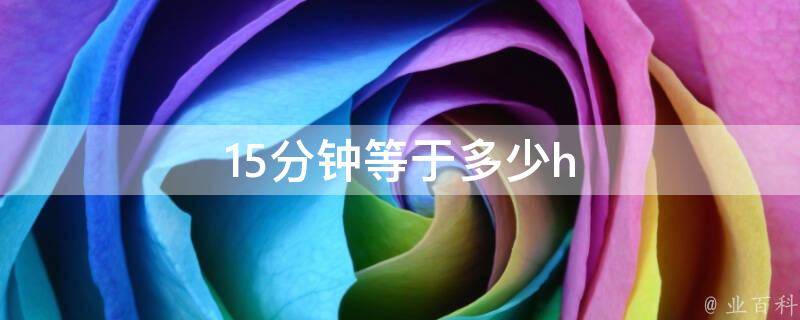15h是什么意思