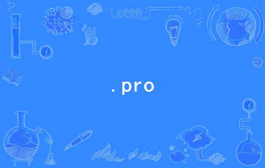 pro是什么意思