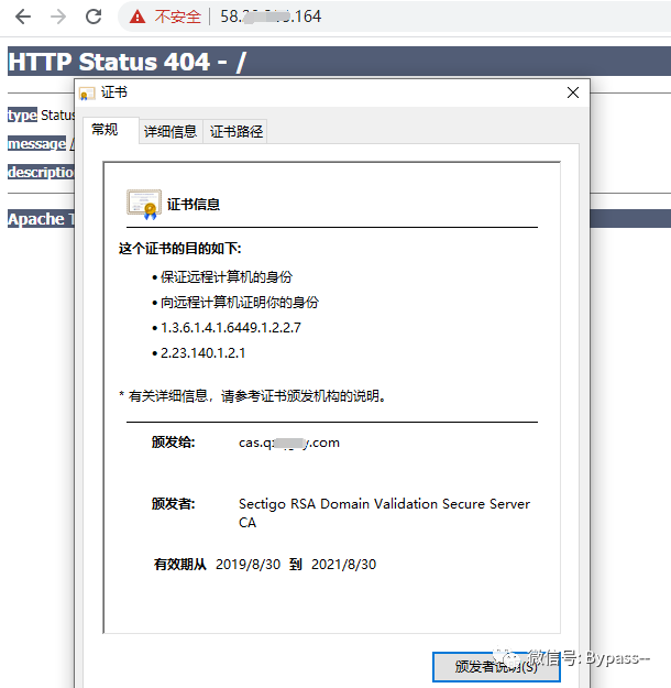 查看域名对应ip