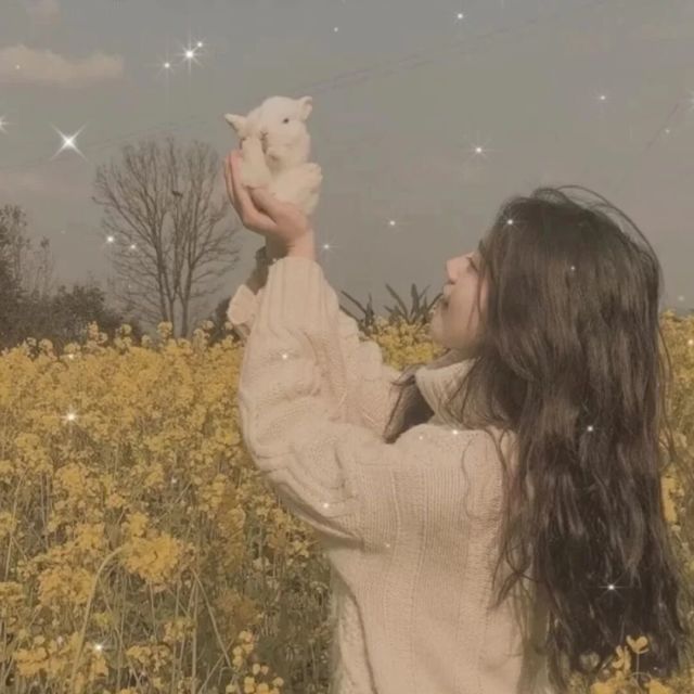 js在线运行