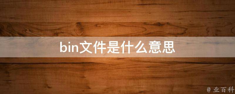 bin是什么意思