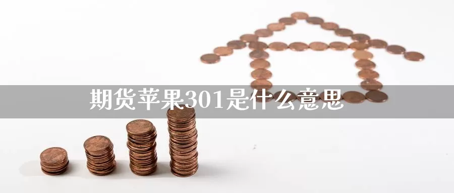 301是什么意思