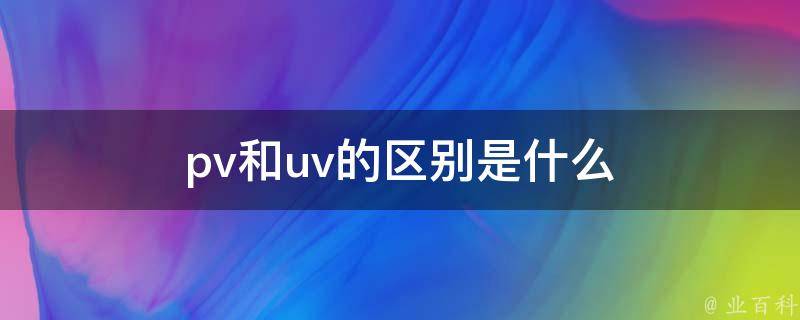 pvu是什么意思