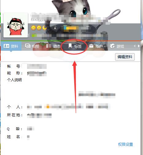 qq个性标签