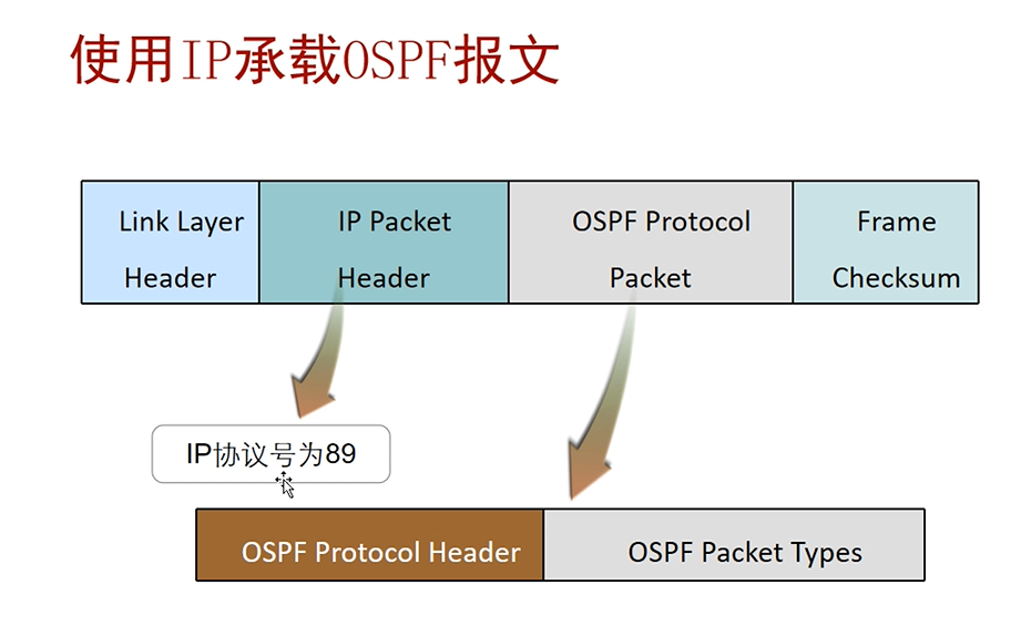 ospf是什么