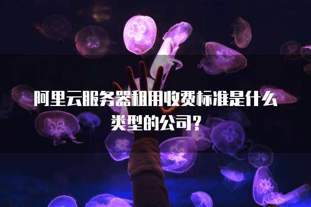服务器租用收费