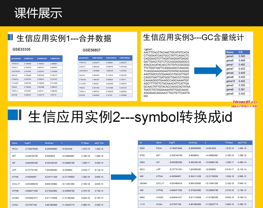 perl语言