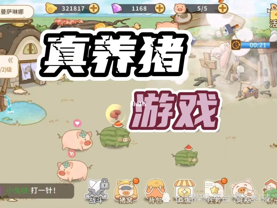 养猪游戏