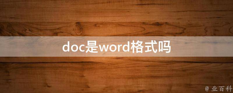 word文件格式