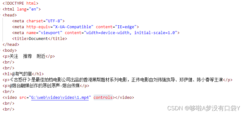 video标签