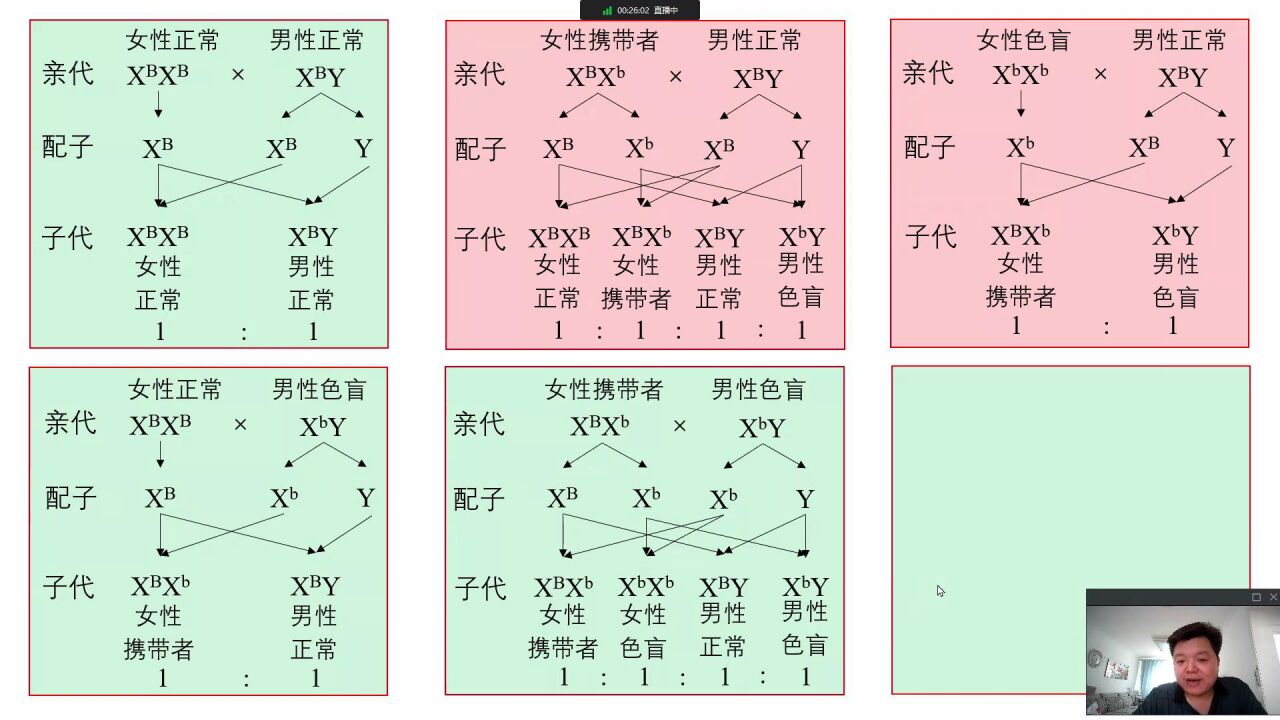 x性日本