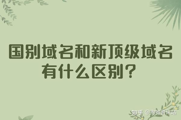域名更新