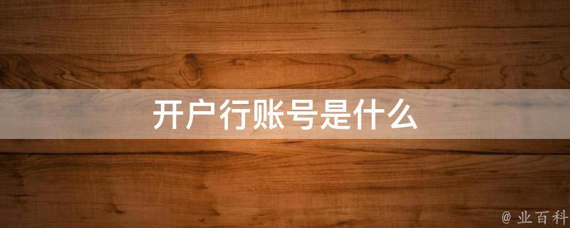 账户是什么