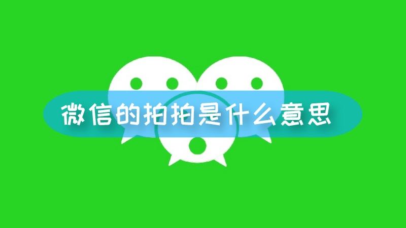 拍拍是什么意思