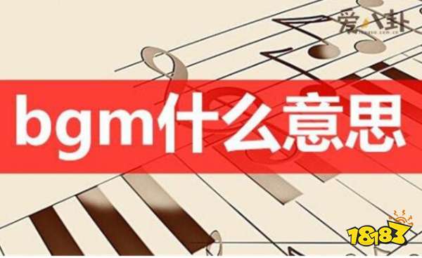 bgm什么意思