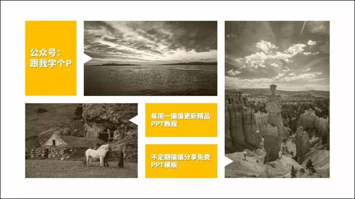 多图片排版
