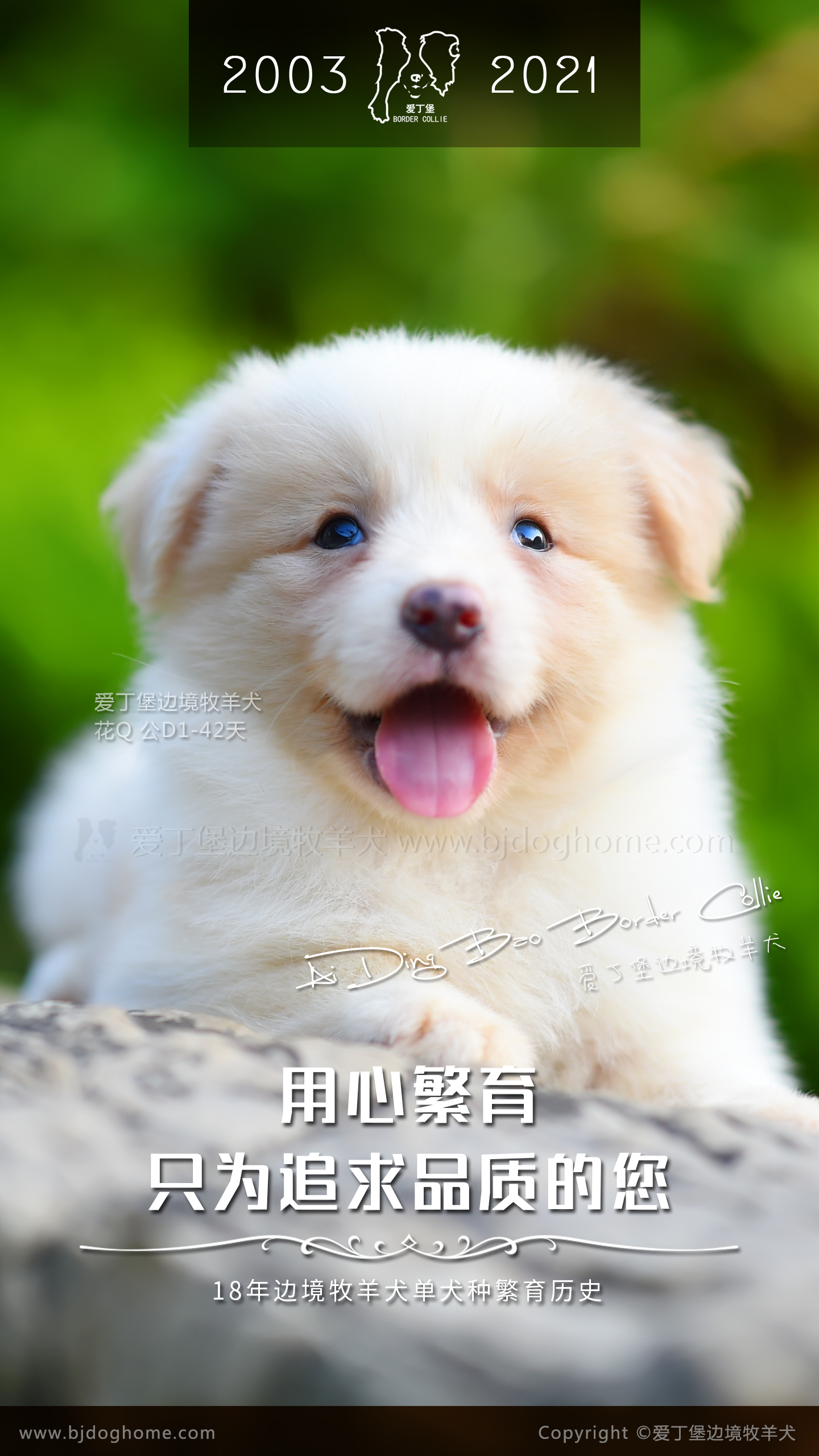 牧牧