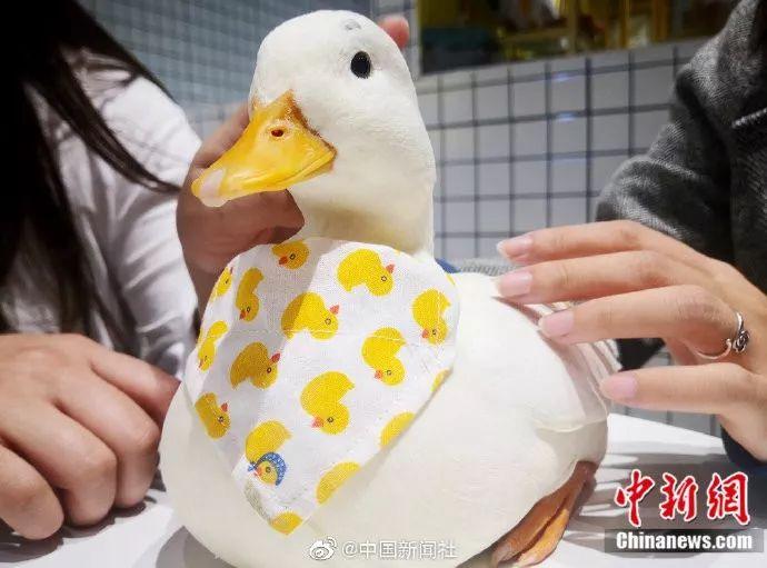 撸撸