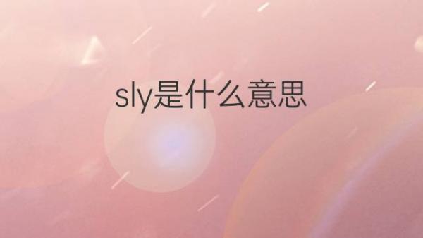 ssy是什么意思