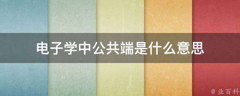 公共端是什么意思