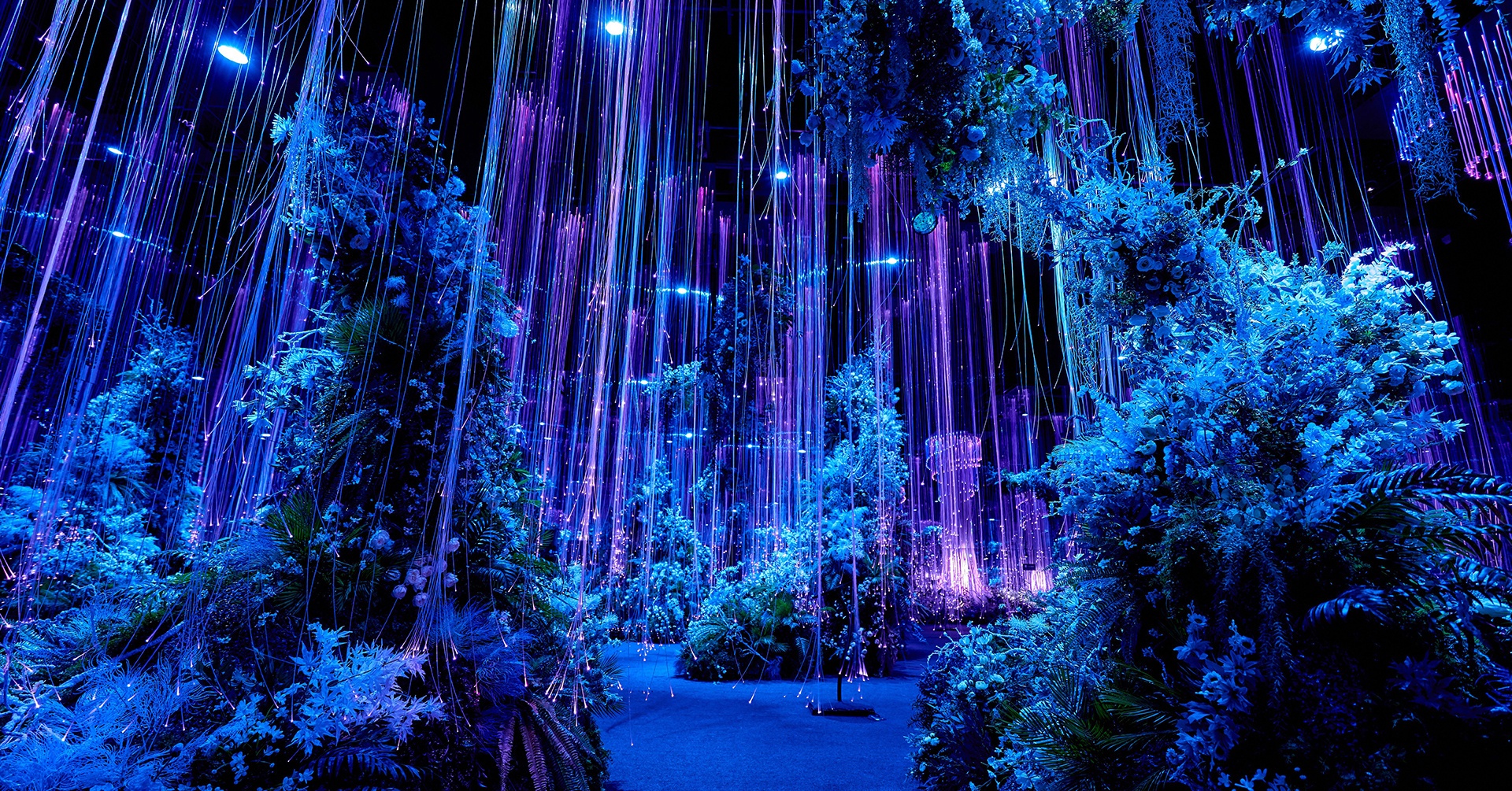 梦幻之夜