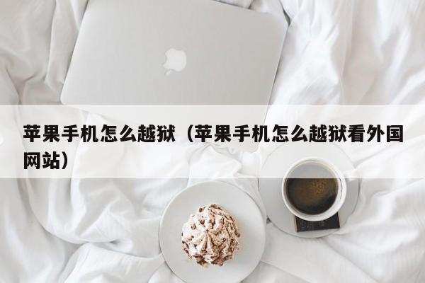 怎么看外国网站