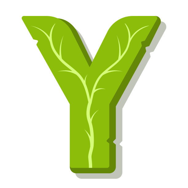 y代表数字几