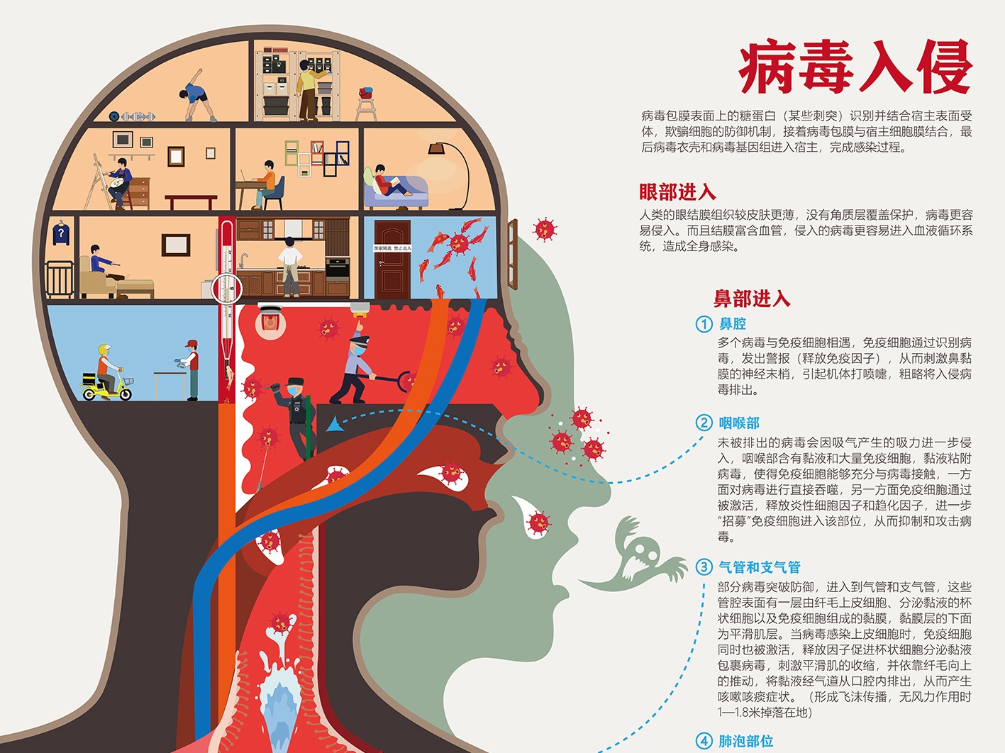 病毒入侵