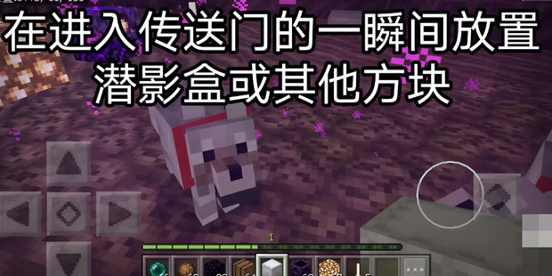 我的世界bug