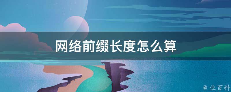 网络前缀长度