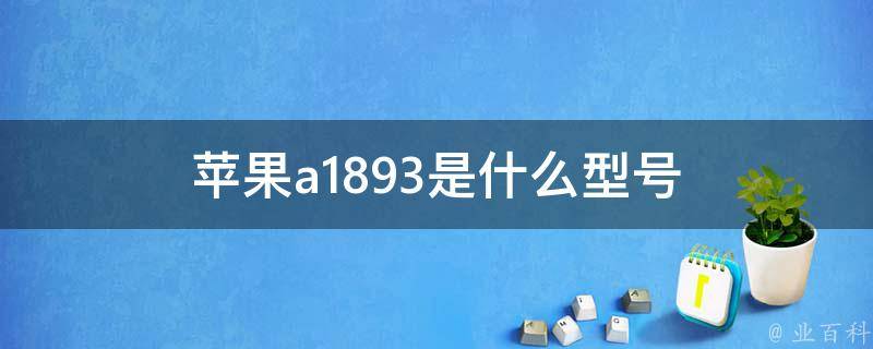 苹果a1893