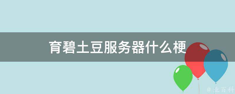 土豆服务器