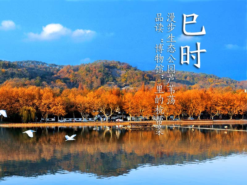 巳日